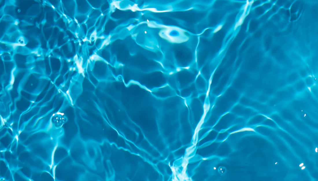 Anti-Aging Potentials of Methylene Blue for Human Skin Longevity